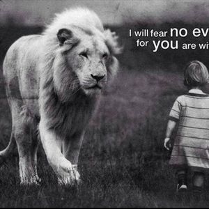 Meet your Posher, Peter